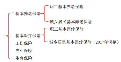 初級(jí)會(huì)計(jì)