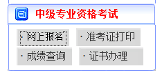 中級(jí)會(huì)計(jì)職稱