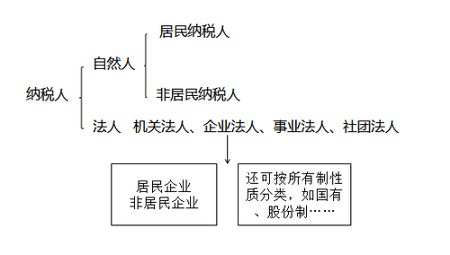 注冊會(huì)計(jì)師