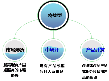 高級(jí)會(huì)計(jì)實(shí)務(wù)