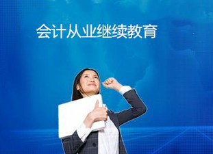 會計(jì)從業(yè)