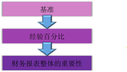 注冊會(huì)計(jì)師