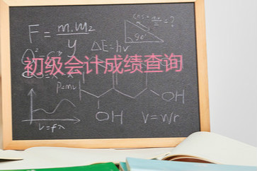 2018年初級(jí)會(huì)計(jì)職稱(chēng)考試成績(jī)查詢(xún)流程是什么？