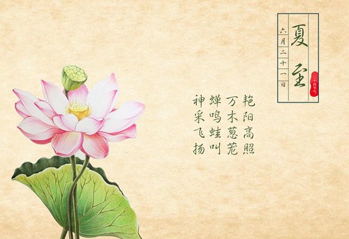 復(fù)習(xí)注冊(cè)會(huì)計(jì)師效率低的原因，看看你中槍了沒(méi)？