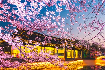 四川省注冊(cè)會(huì)計(jì)師考試時(shí)間，綜合階段備考如何分配時(shí)間？