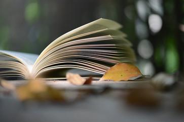 高級會計師輕松過關(guān)輔導(dǎo)書考點(diǎn)地圖有什么用？