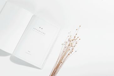 《稅務檢查證管理辦法》發(fā)布，明年1月1日起實施