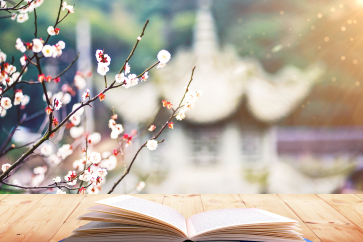 上海2018年中級(jí)會(huì)計(jì)師考試成績(jī)查詢(xún)時(shí)間