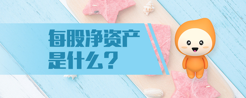 每股凈資產(chǎn)是什么