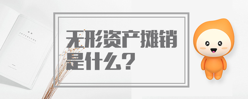 無(wú)形資產(chǎn)攤銷(xiāo)是什么