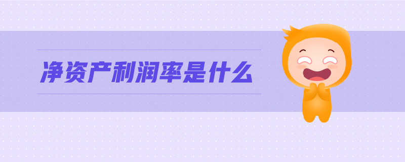 凈資產(chǎn)利潤率是什么