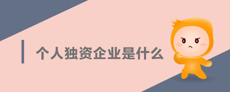 個人獨資企業(yè)是什么