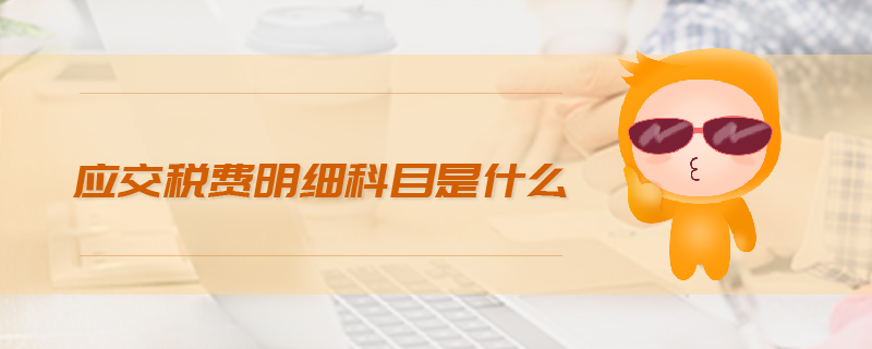 應(yīng)交稅費(fèi)明細(xì)科目是什么