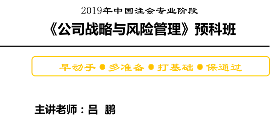 公司戰(zhàn)略與風(fēng)險管理