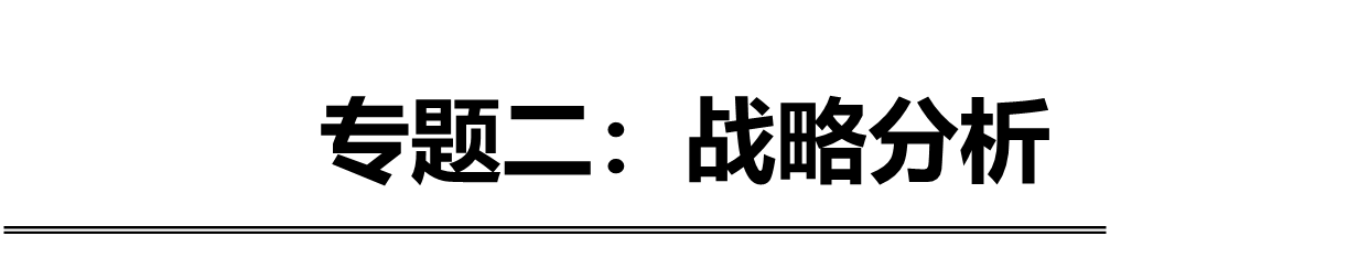 專(zhuān)題二：戰(zhàn)略分析