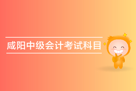 咸陽(yáng)2019年中級(jí)會(huì)計(jì)考試科目都有什么？