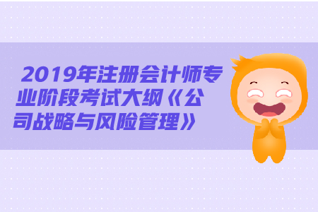 2019年注冊會計師《戰(zhàn)略》大綱變動都有哪些？