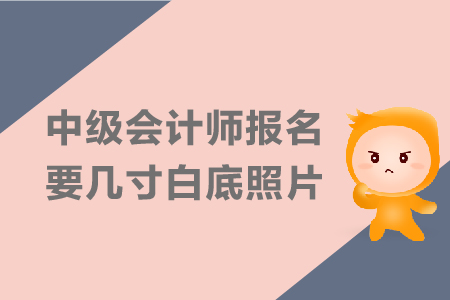 中級(jí)會(huì)計(jì)師報(bào)名要幾寸白底照片？