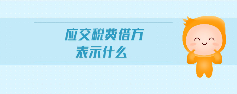 應交稅費借方表示什么