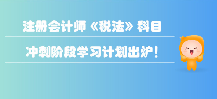 2019年注冊會(huì)計(jì)師《稅法》科目沖刺階段學(xué)習(xí)計(jì)劃