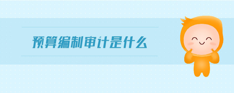 預(yù)算編制審計是什么