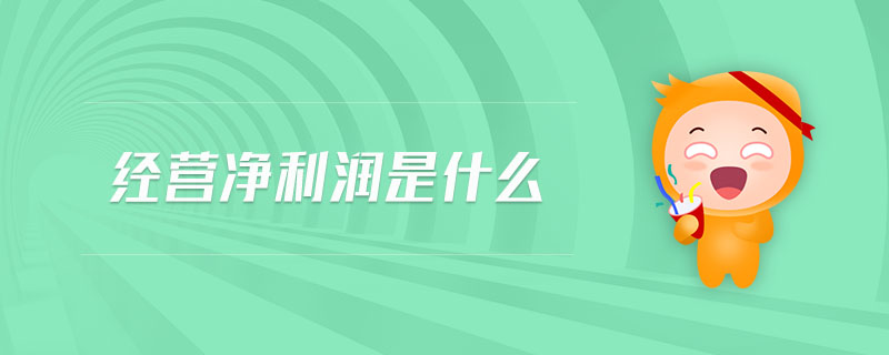 經(jīng)營凈利潤是什么
