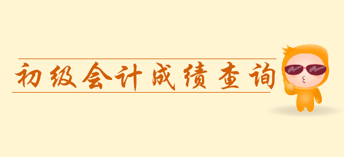 2019年查詢初級會計考試成績需要用身份證號嗎？