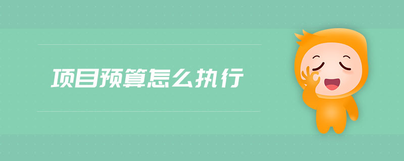 項目預算怎么執(zhí)行
