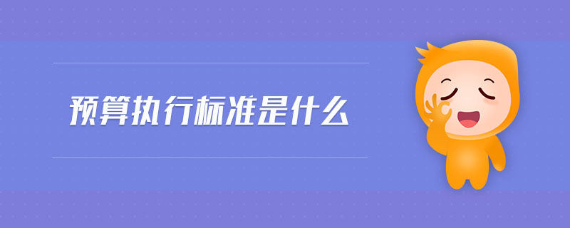 預(yù)算執(zhí)行標(biāo)準(zhǔn)是什么