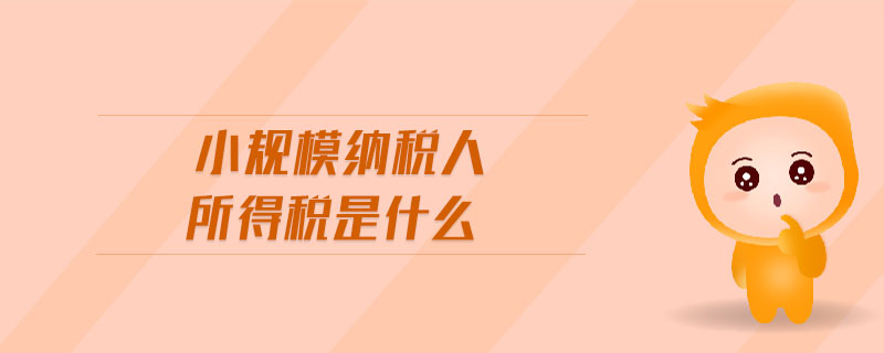 小規(guī)模納稅人所得稅是什么