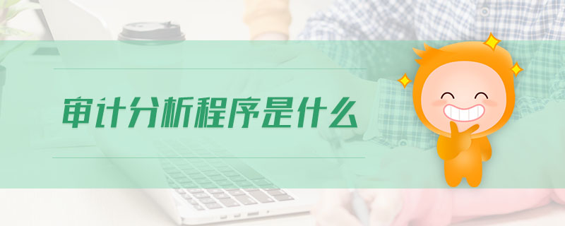 審計(jì)分析程序是什么