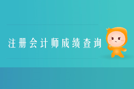 2019年寧夏中衛(wèi)CPA成績查詢?nèi)肟谑鞘裁矗? alt=