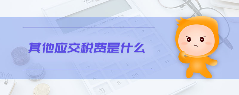 其他應(yīng)交稅費是什么