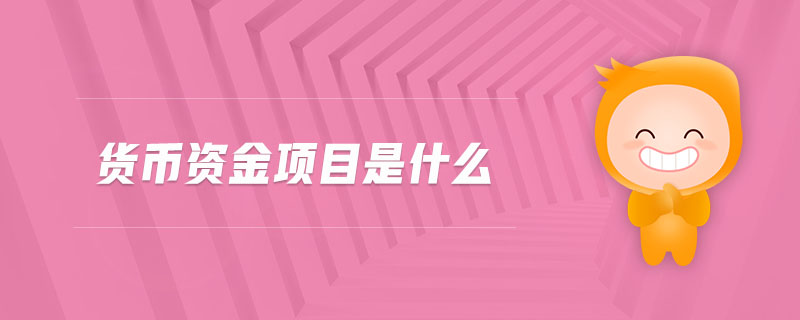 貨幣資金項(xiàng)目是什么