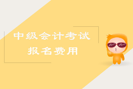 2020年湖北宜昌中級(jí)會(huì)計(jì)考試報(bào)名費(fèi)你知道嗎？