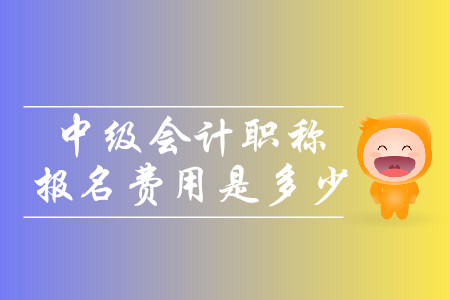 2020年湖北荊州中級(jí)會(huì)計(jì)考試報(bào)名費(fèi)是多少？