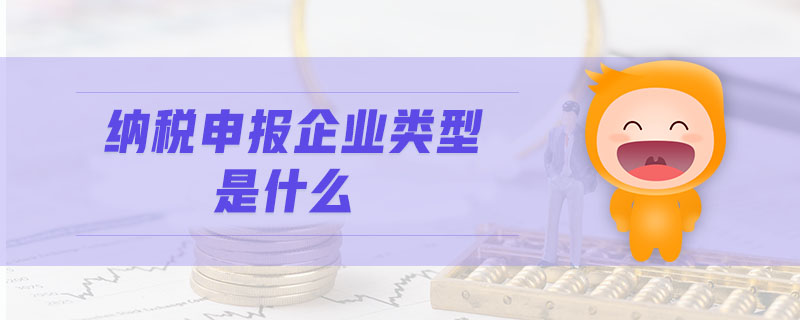 納稅申報(bào)企業(yè)類(lèi)型是什么
