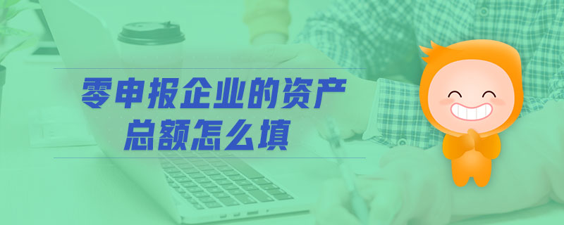 零申報(bào)企業(yè)的資產(chǎn)總額怎么填