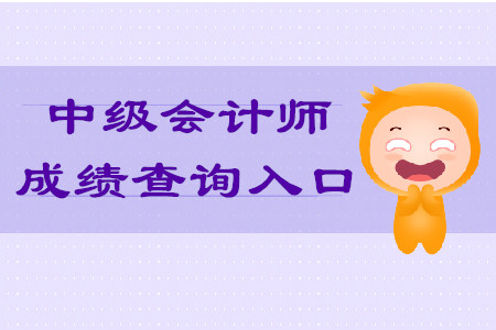 2019年中級(jí)會(huì)計(jì)職稱成績(jī)查詢地址