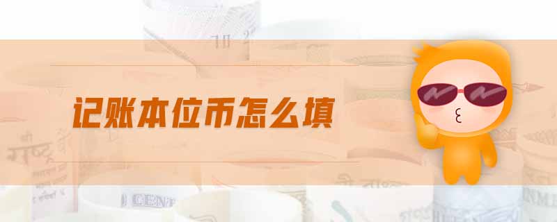 記賬本位幣怎么填