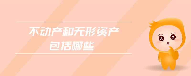 不動(dòng)產(chǎn)和無(wú)形資產(chǎn)包括哪些