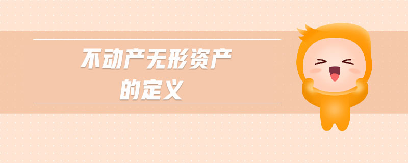 不動(dòng)產(chǎn)無(wú)形資產(chǎn)的定義
