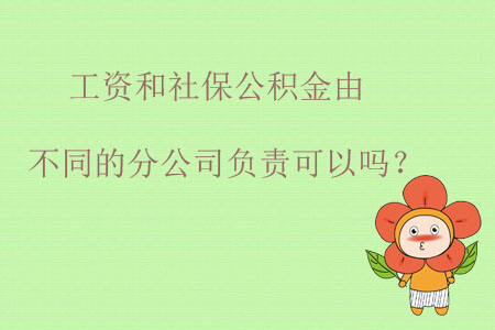 工資和社保公積金由不同的分公司負(fù)責(zé)可以嗎？