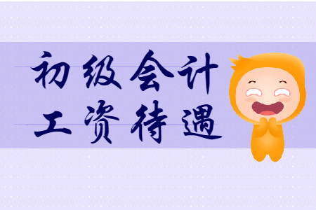初級會計師一個月多少錢？