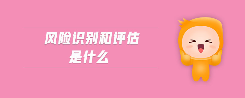 風(fēng)險識別和評估是什么