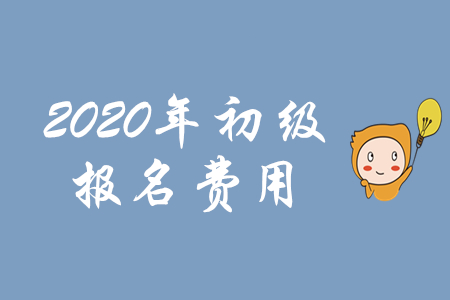 初級(jí)會(huì)計(jì)職稱考試報(bào)名費(fèi)用公布了嗎？