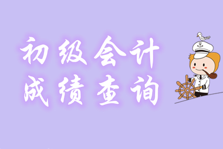 2020年初級(jí)會(huì)計(jì)考試成績(jī)查詢?nèi)肟冢喝珖?guó)會(huì)計(jì)資格評(píng)價(jià)網(wǎng)