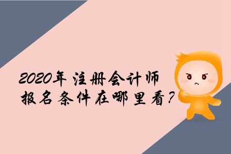 2020年注冊會計師報名條件在哪里看？