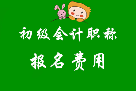 2020年初級會計(jì)證報(bào)名費(fèi)用是多少？