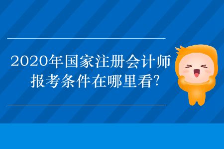 2020年國家注冊會計師報考條件在哪里看？